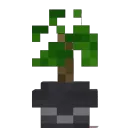 BonsaiSMP
