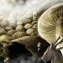 Fungal Grotto