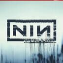 Trent Reznor's pigsty (archived) Discord Server Icon