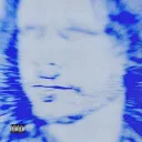 𝚂𝚌𝚛𝚞𝚋𝚢 𝚂𝚚𝚞𝚊𝚍