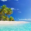 The Isle
