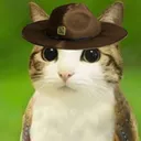 [U.S.F.] Meowl Gang