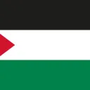 Palestine on r/place
