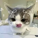 ɴෆᴇʟ ꜱᴇʀᴠᴇʀ 2nd