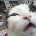 Uramu