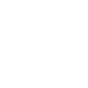 Full Speed Sim Coaching