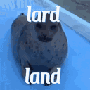 lard land