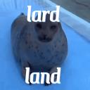 lard land