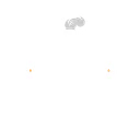 FIRELOCK CO.