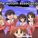 The autism association