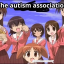 The autism association