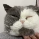 不要KU