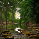 cigarettes & confessionals Discord server icon