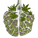 Green Lung Genetics