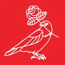 Greater Baltimore DSA