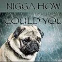 RAMPOS HOUSE!! Discord Server Icon