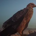 S I R P