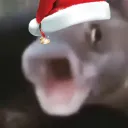 Ecua OOOO