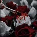 Marcy’s WonderLand discord icon