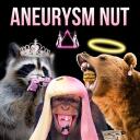 ANEURYSM NUT Discord Server Icon