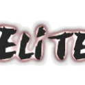 EliteSro sunucusu
