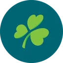 Aer Lingus | Aerlínte na hÉireann