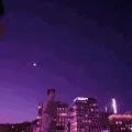 𝖥𝗅𝖺𝗆𝗂𝗇𝗀𝗈🦩