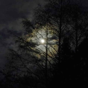 DOPAMINE Discord server icon