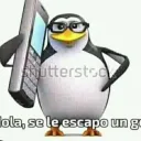 xd