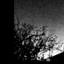 itsj4cko - discord server