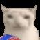 funny fellows Discord Server Icon