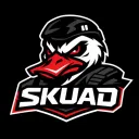 Server icon for SKUAD | Latam SV 1.0