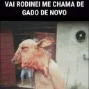 gadolandiaa🤠