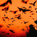 A Quiet Forge Discord server icon