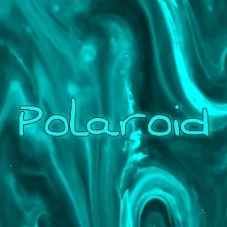Polaroid — мониторинг Discord сервера, статистика и рейтинг