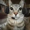 RetroCat Casting Service