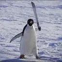 The Arctic Circle