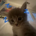 Spike's community (lets get to 100 members)'s icon