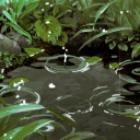 🌱 𝐎𝐊𝐉𝐀 :: Forest City