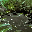 🌱 𝐎𝐊𝐉𝐀 :: Forest City