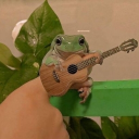 The Frog Pond