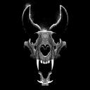 Urban Animal Discord Server Icon