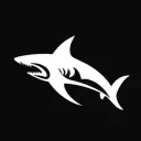 Shark Research