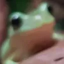 stephanie. Dreamwastaken3 Tomm... Discord Server Icon