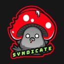 SYNDICATE - DAYZ Discord Server Icon