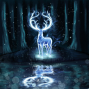 Wizarding World: Magic & Mischief