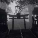 Daimyo × Developing