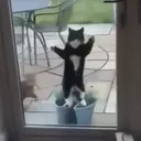 =y