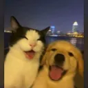 FRIENDS.