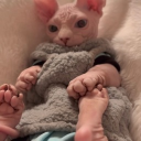 squirt's dungeon Discord server icon